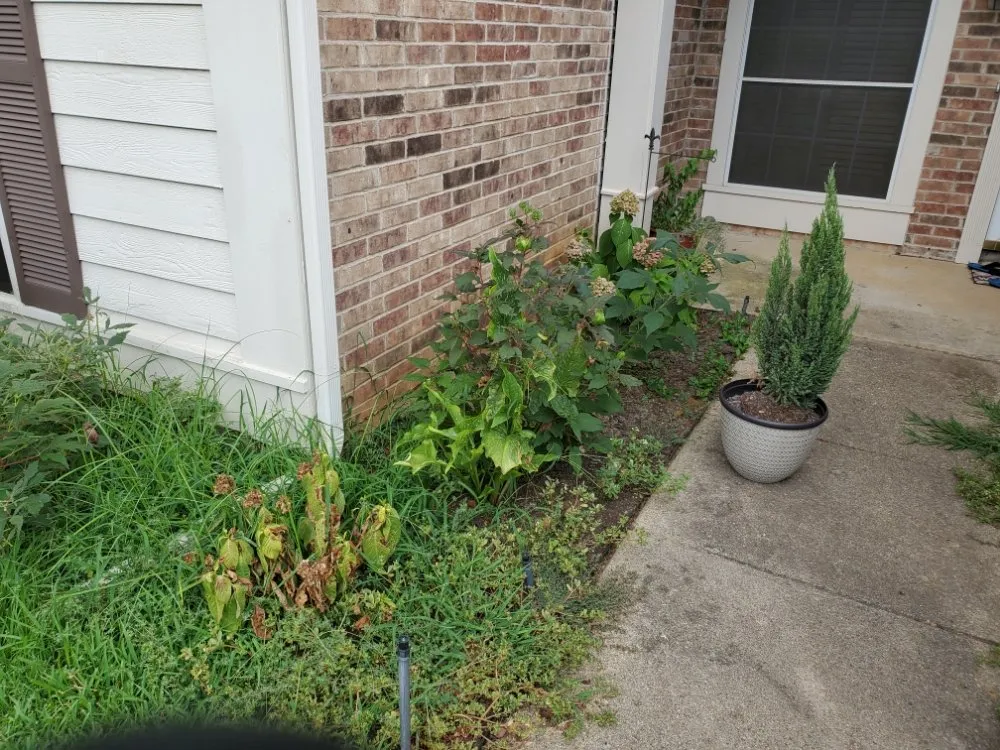 Trusted lawn mowing service in Fort Worth, TX - Koontz Landscaping Design