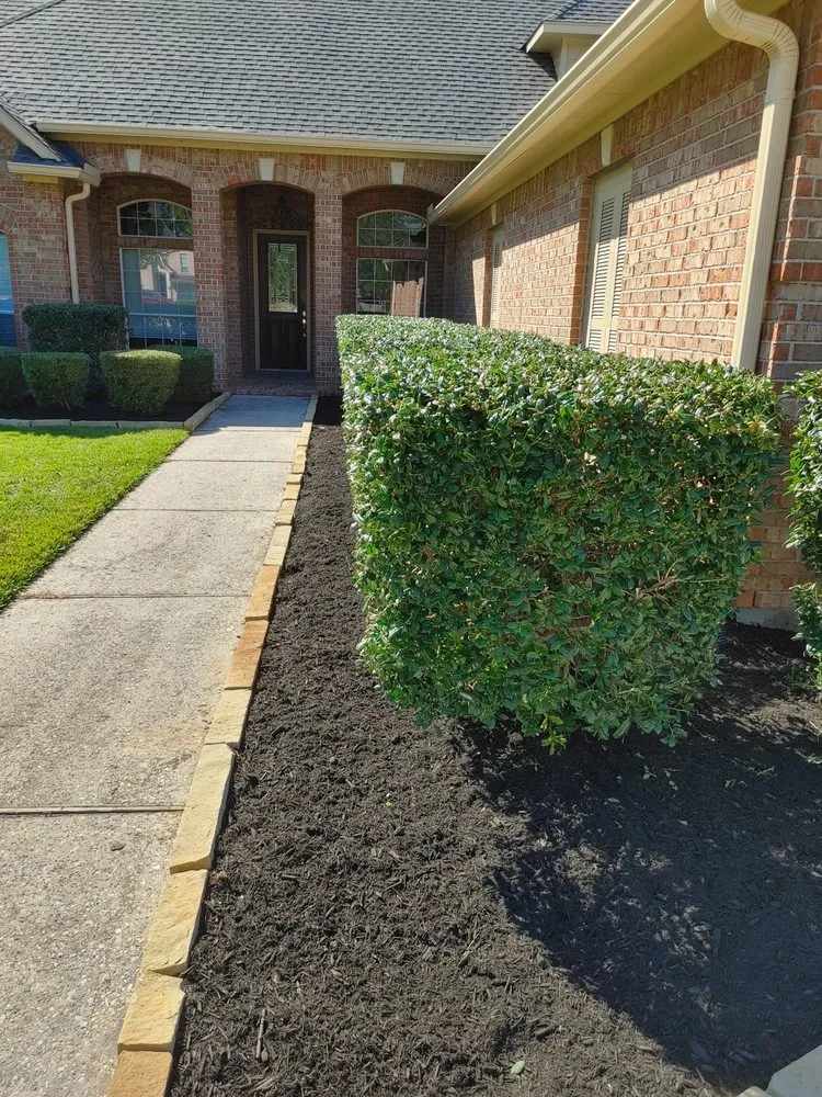 Affordable lawn care service in Panorama Village, TX by Korat lawncare