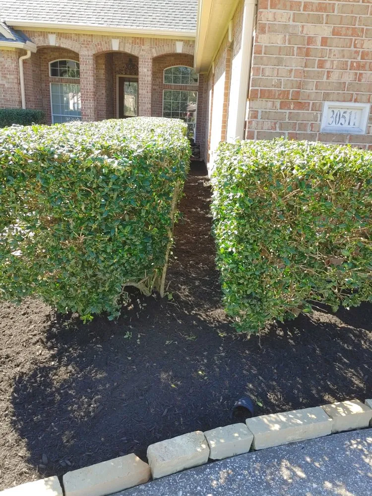 Affordable yard cleanup service experts serving Panorama Village, TX - Korat lawncare