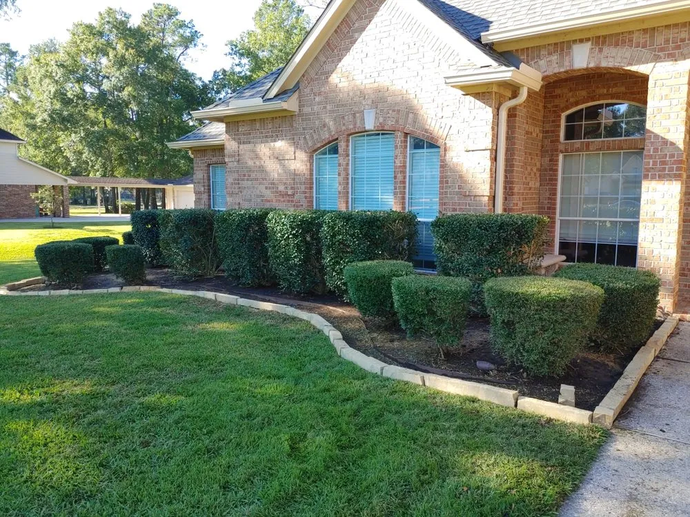 Trusted yard cleanup service in Panorama Village, TX - Korat lawncare