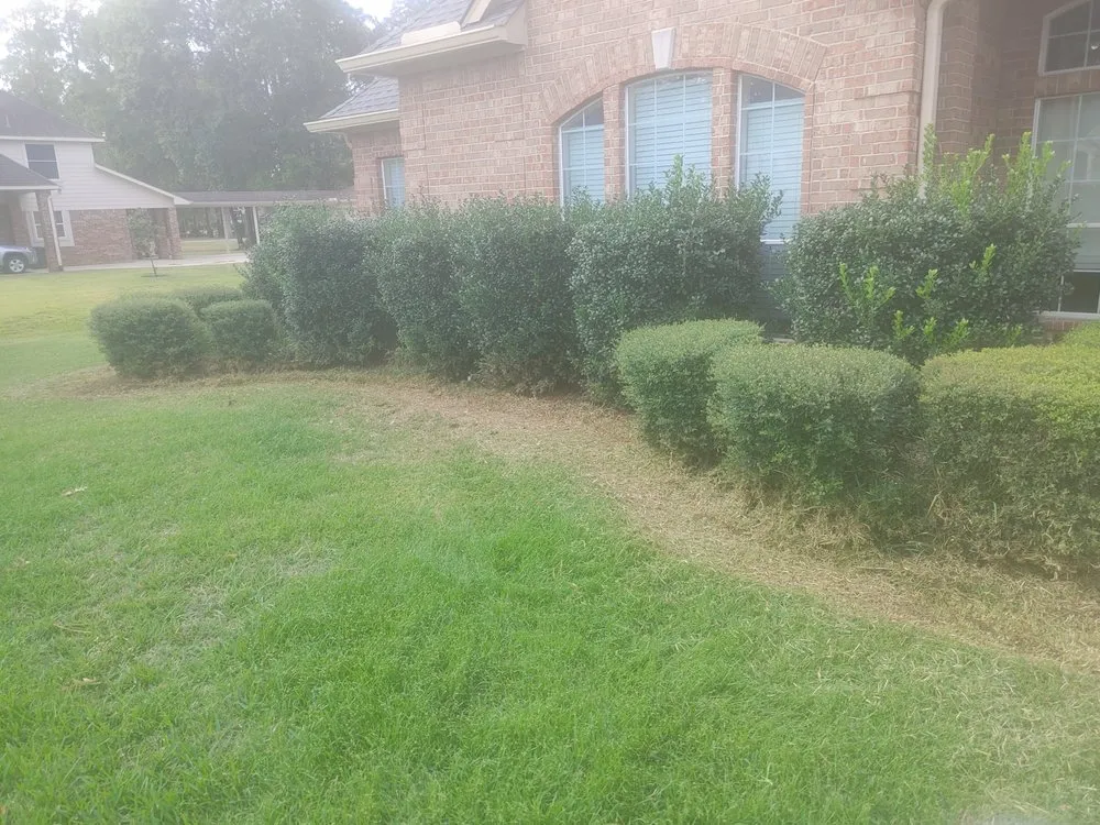 Custom lawn mowing service for year-round maintenance across Panorama Village, TX - Korat lawncare