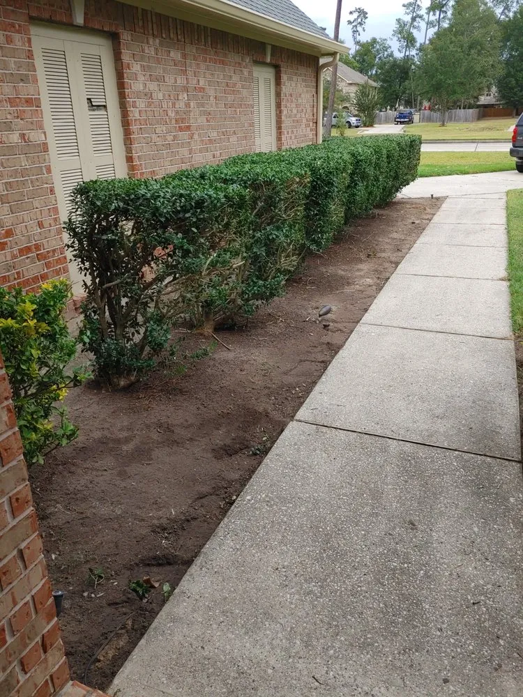 Affordable residential landscaping for beautiful yards across Panorama Village, TX - Korat lawncare