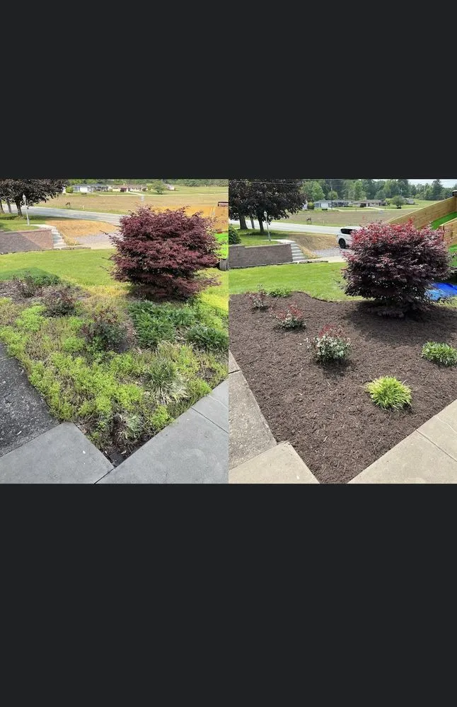 Local landscape design with custom design across California, PA - Korb’s Lawn Care