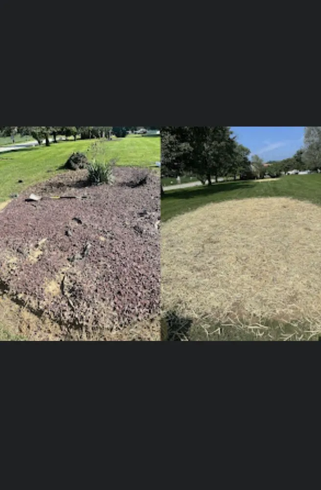 Custom landscape installation experts serving California, PA - Korb’s Lawn Care