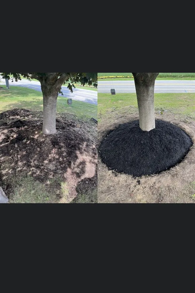 Reliable yard cleanup service in California, PA by Korb’s Lawn Care