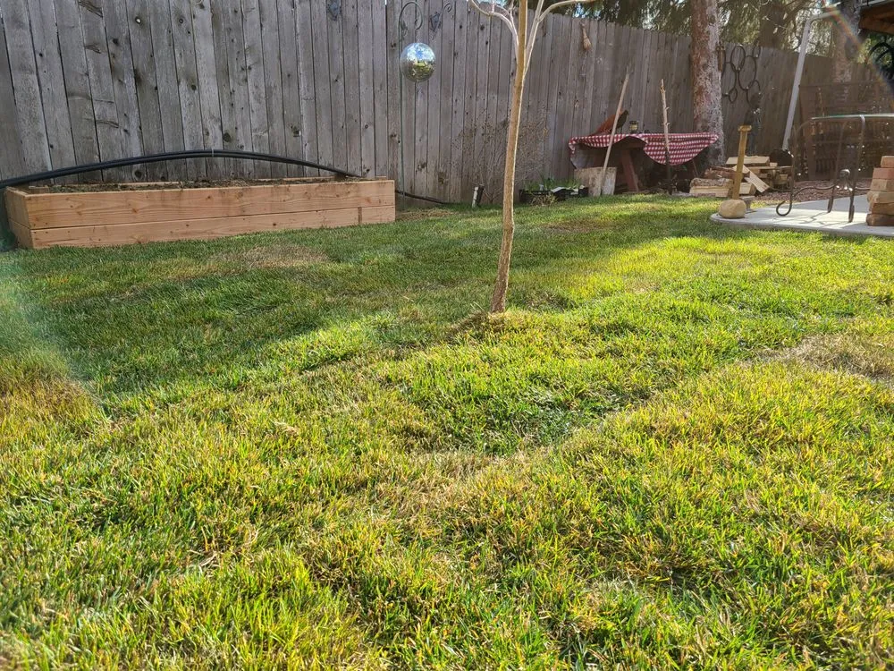 Expert yard cleanup service for residential properties across Wellington, CO - Korby Sod