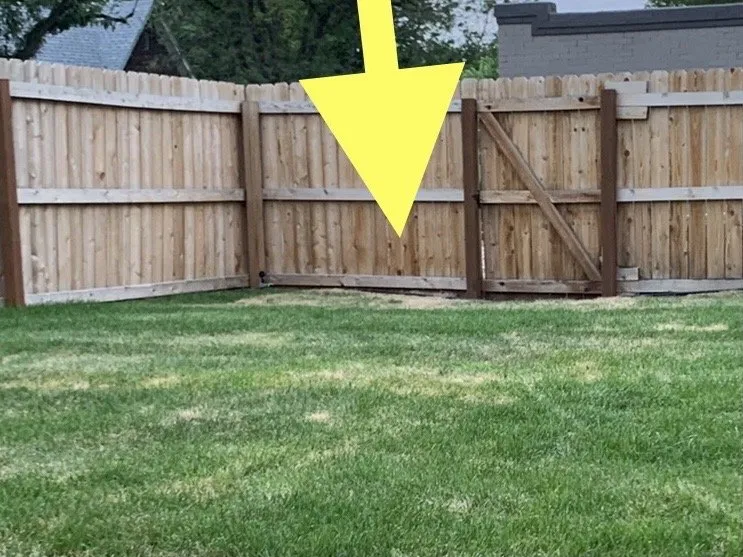 Trusted landscape design experts serving Wellington, CO - Korby Sod