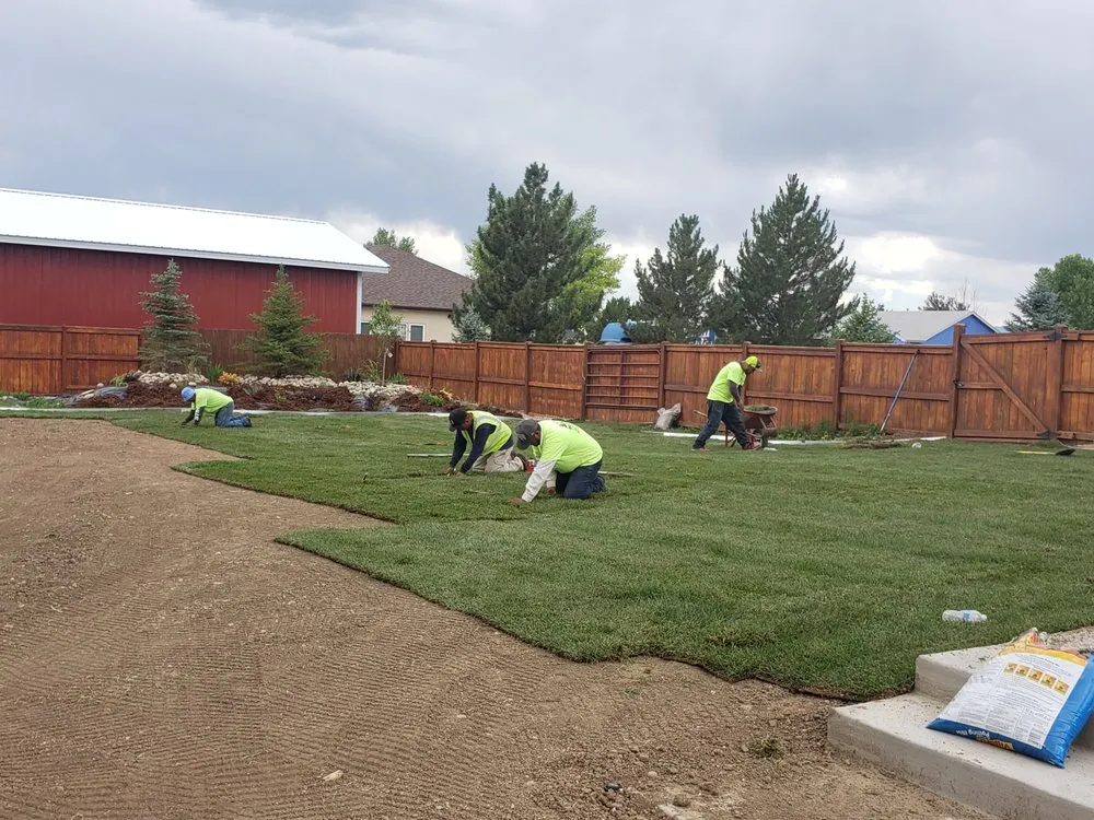 Reliable landscape design in Wellington, CO - Korby Sod