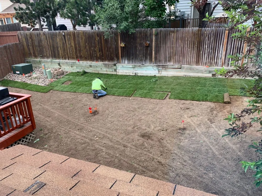 Top-rated yard maintenance in Wellington, CO - Korby Sod