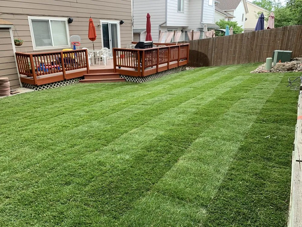 Top-rated landscape design in Wellington, CO - Korby Sod
