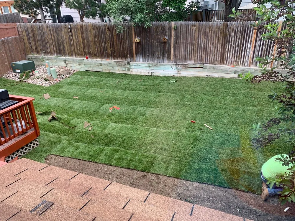 Reliable yard cleanup service for outdoor upgrades across Wellington, CO - Korby Sod