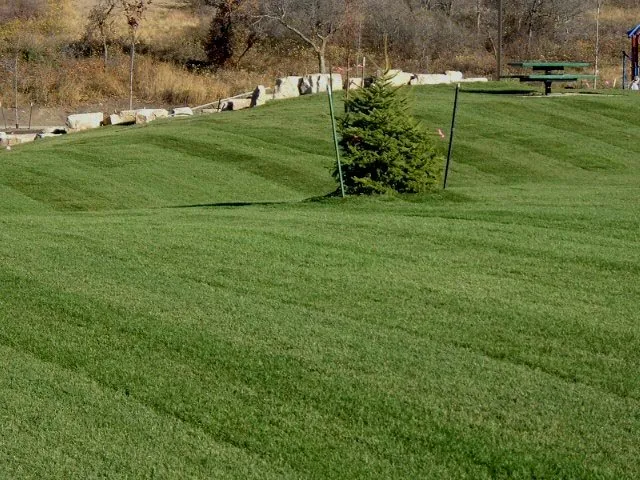 Local garden landscaping with custom design across Wellington, CO - Korby Sod