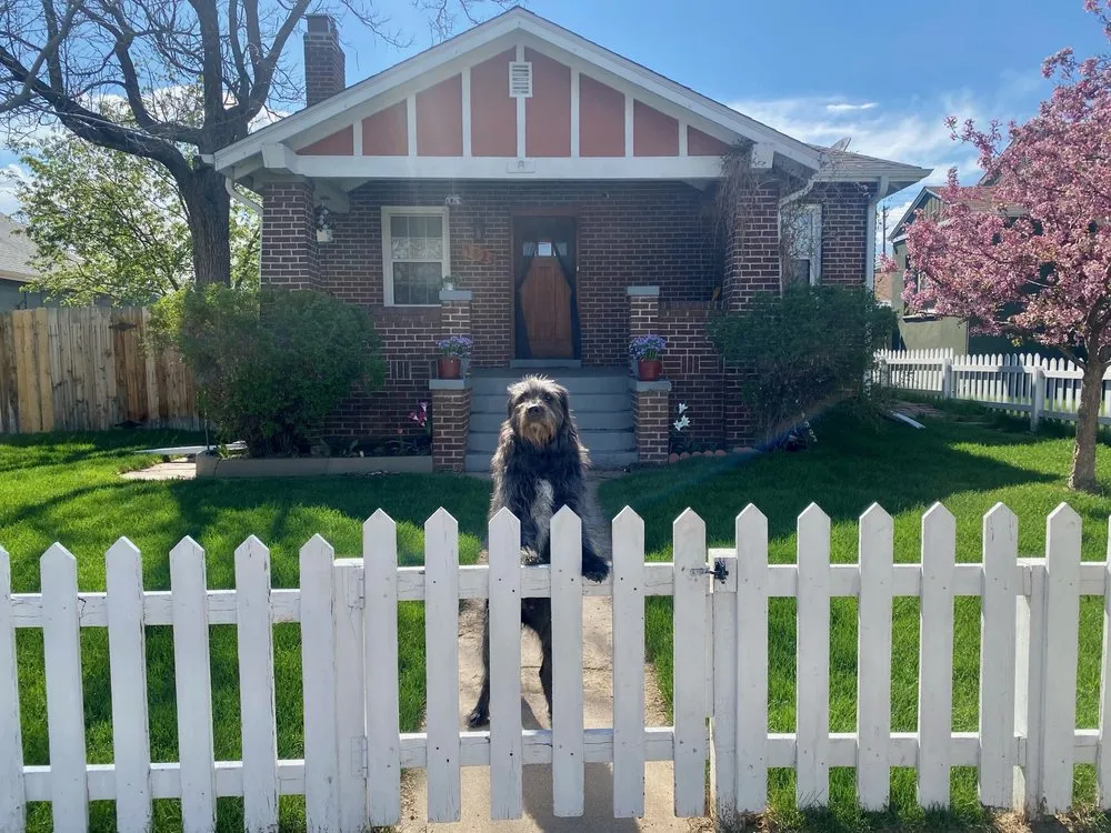 Expert landscaping services in Wellington, CO - Korby Sod