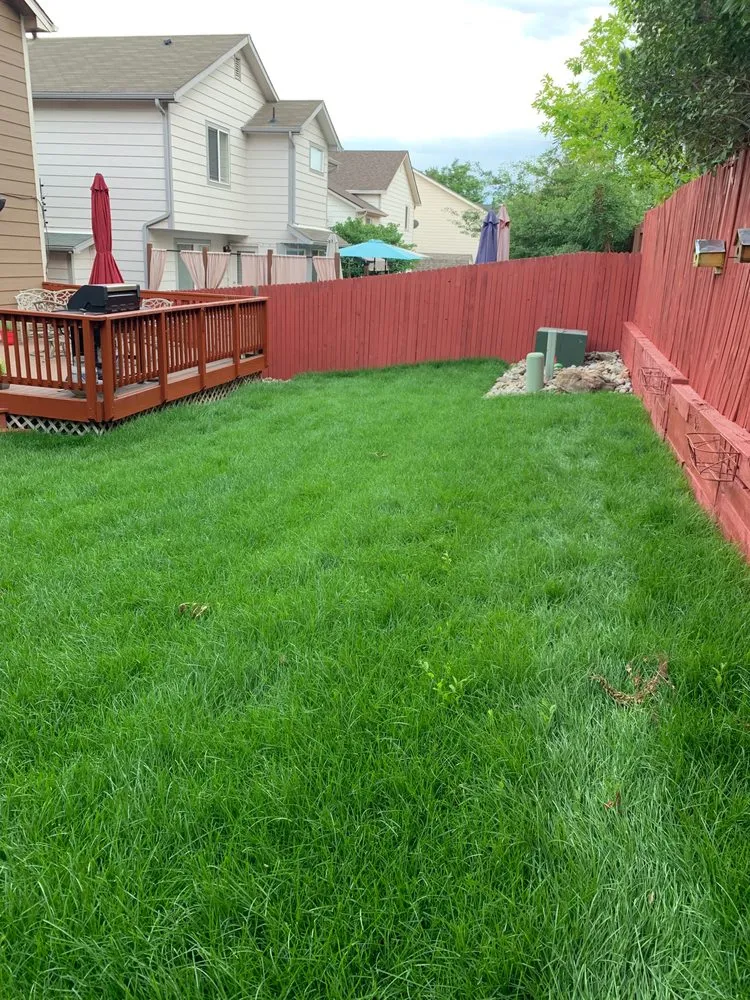 Trusted garden landscaping with custom design in Wellington, CO by Korby Sod