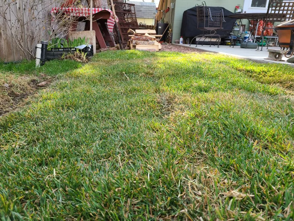 Expert landscaping services in Wellington, CO by Korby Sod