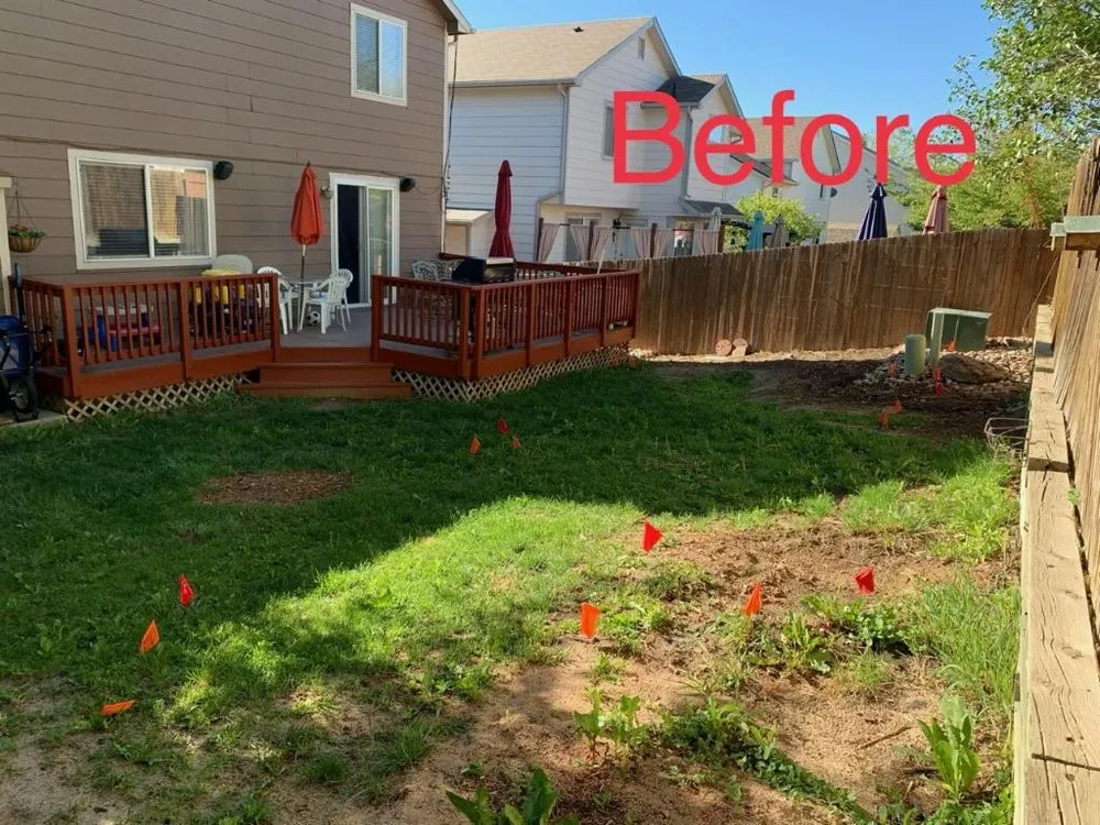 Affordable yard maintenance for outdoor upgrades across Wellington, CO - Korby Sod