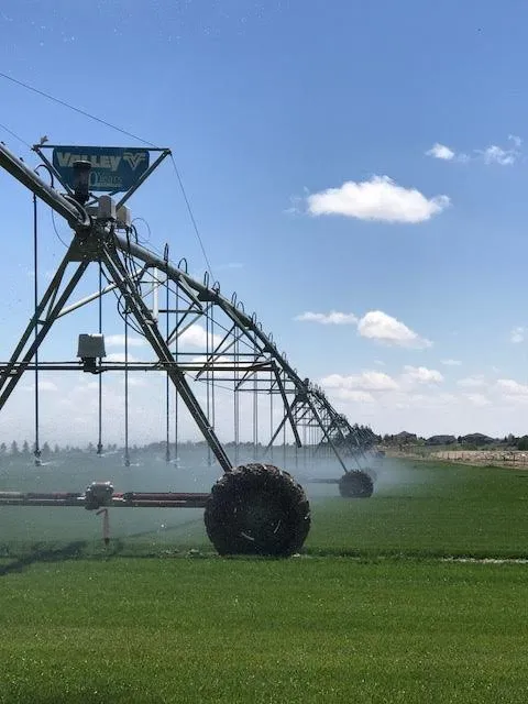 Trusted lawn mowing service in Wellington, CO by Korby Sod