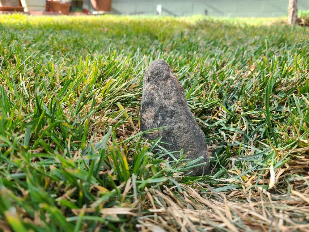 Local landscape design for homes across Wellington, CO - Korby Sod