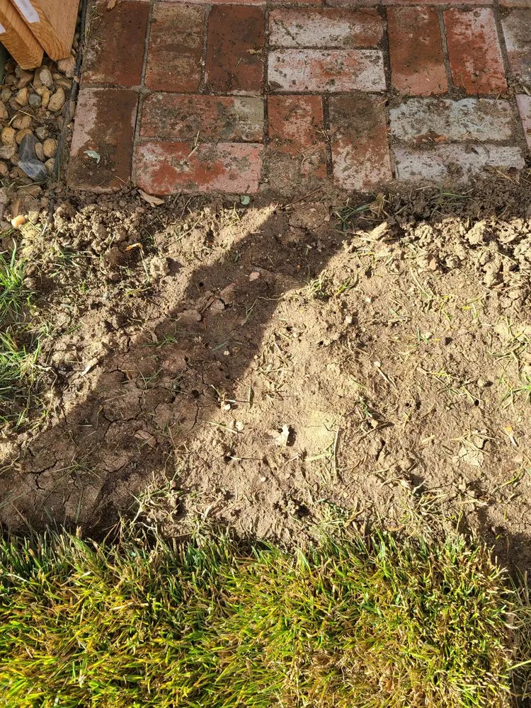 Expert landscaping services in Wellington, CO - Korby Sod