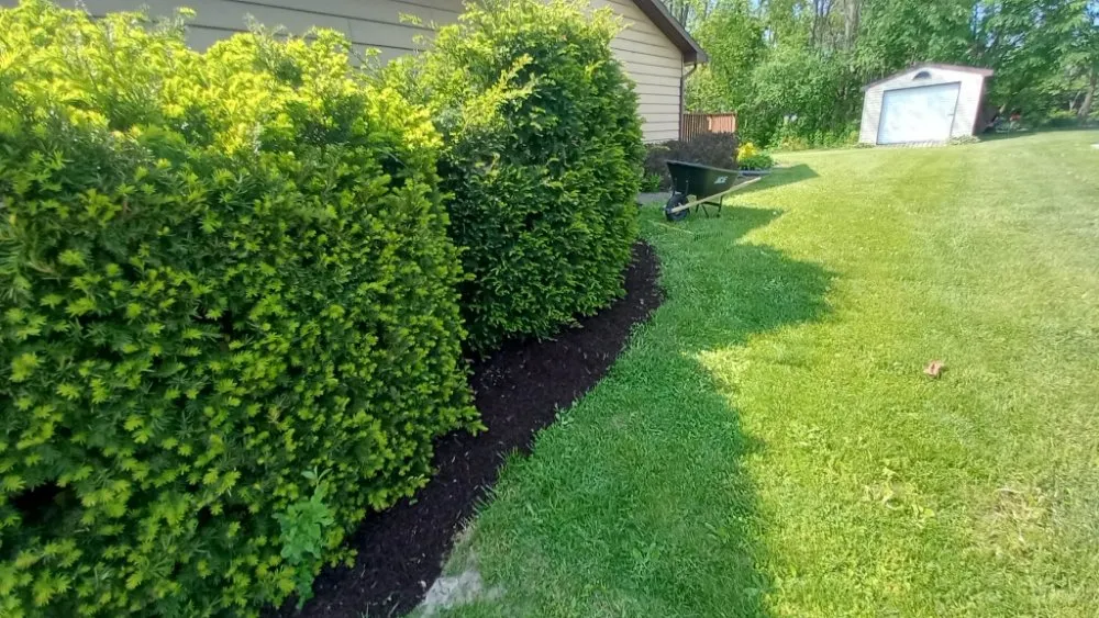 Reliable lawn care service in Twin Lakes, WI by Kordecki Property Care