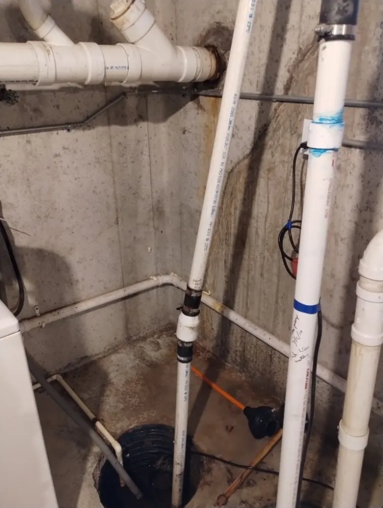 Affordable yard cleanup service in Twin Lakes, WI by Kordecki Property Care