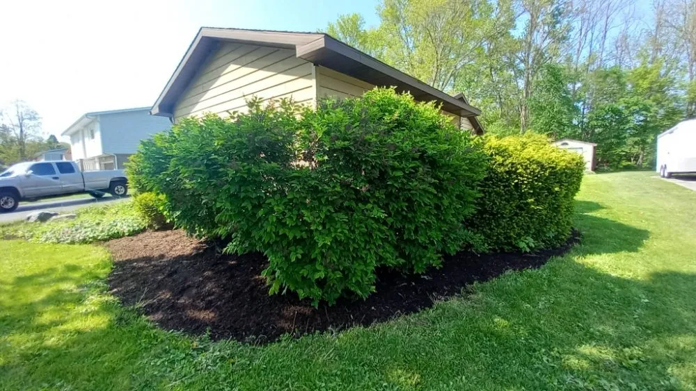 Trusted landscape installation experts serving Twin Lakes, WI - Kordecki Property Care