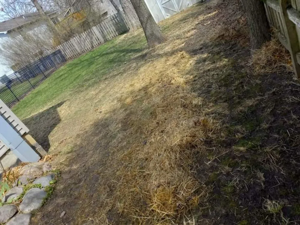 Affordable landscape design experts serving Twin Lakes, WI - Kordecki Property Care