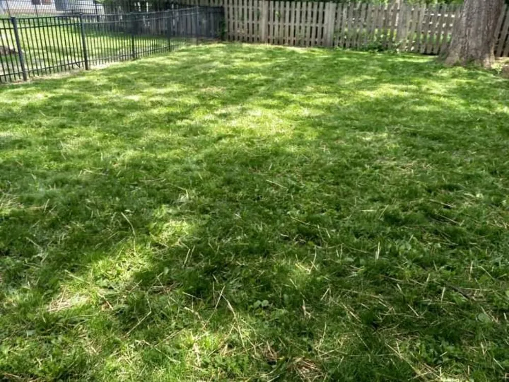 Affordable outdoor landscaping experts serving Twin Lakes, WI - Kordecki Property Care