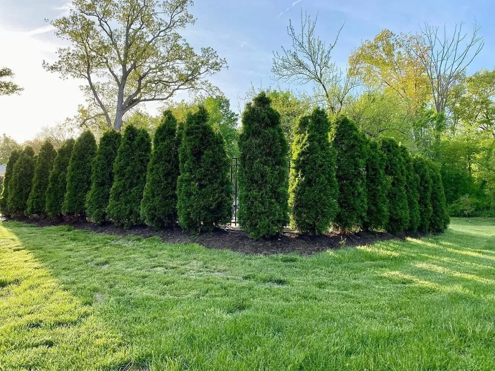 Professional landscaping services in Frankfort, IL by Koreman Landscape