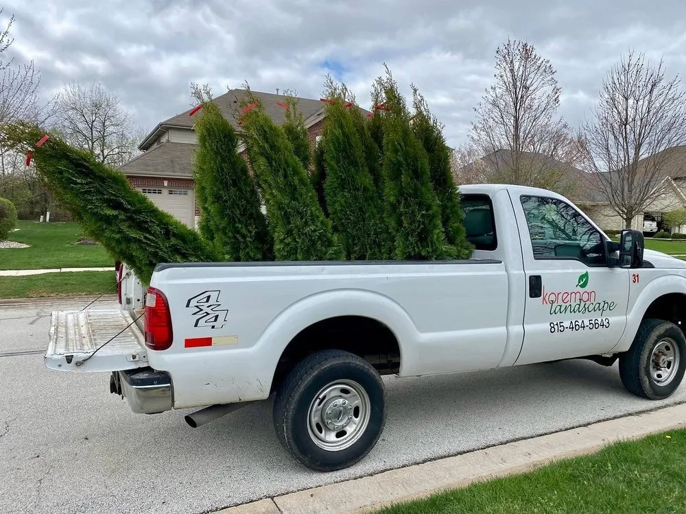 Top-rated lawn mowing service for homes across Frankfort, IL - Koreman Landscape