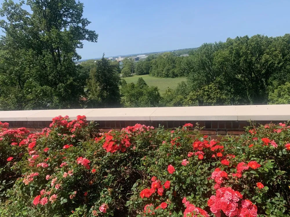 Expert residential landscaping in Louisville, KY by Korfhage Landscape & Designs