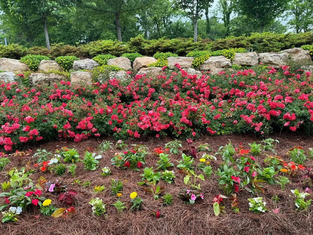 Reliable outdoor landscaping in Louisville, KY - Korfhage Landscape & Designs