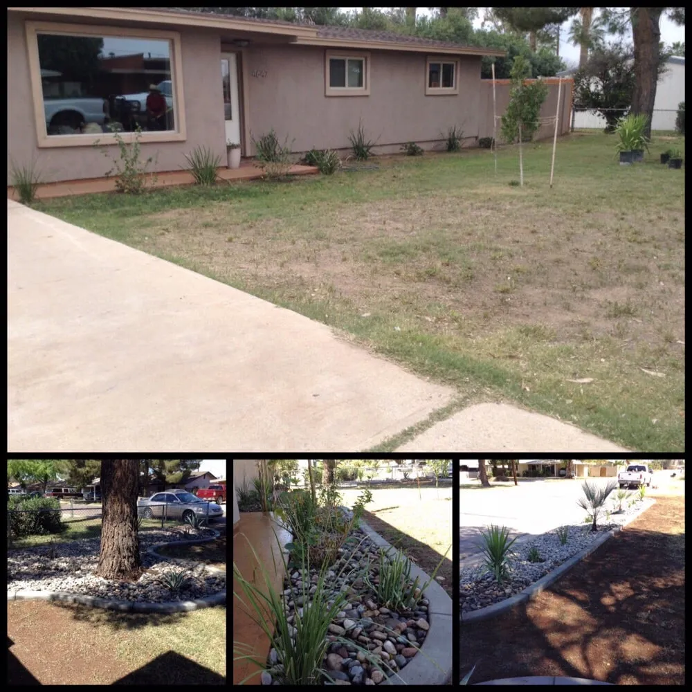 Affordable outdoor landscaping in Glendale, AZ by KO's Landscaping