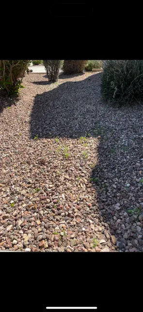 Trusted garden landscaping in Glendale, AZ by KO's Landscaping