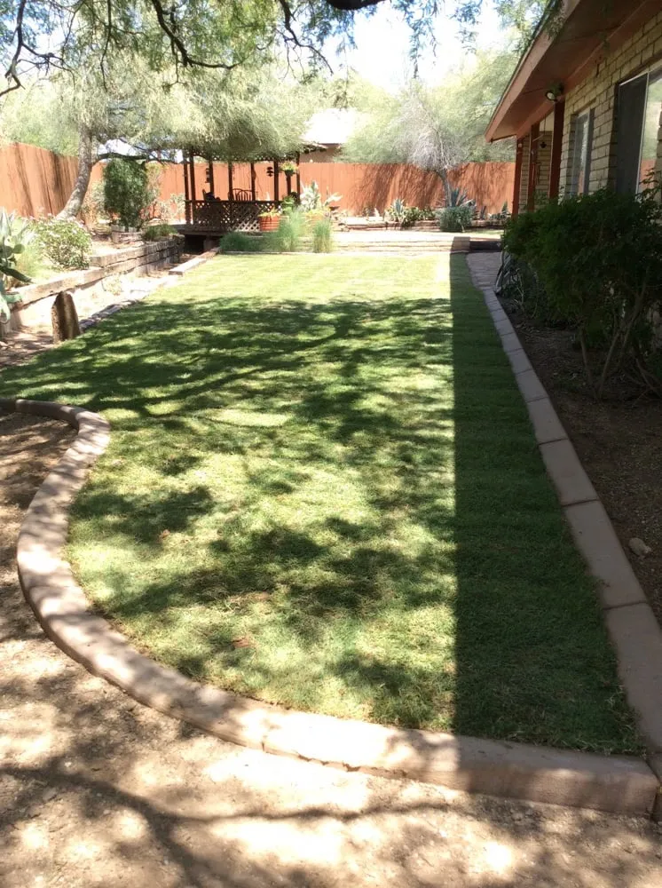 Professional landscape installation for outdoor upgrades across Glendale, AZ - KO's Landscaping