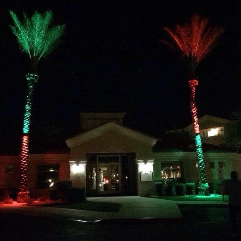 Custom yard maintenance in Glendale, AZ - KO's Landscaping