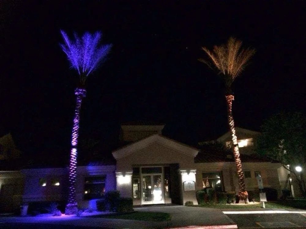 Custom residential landscaping experts serving Glendale, AZ - KO's Landscaping