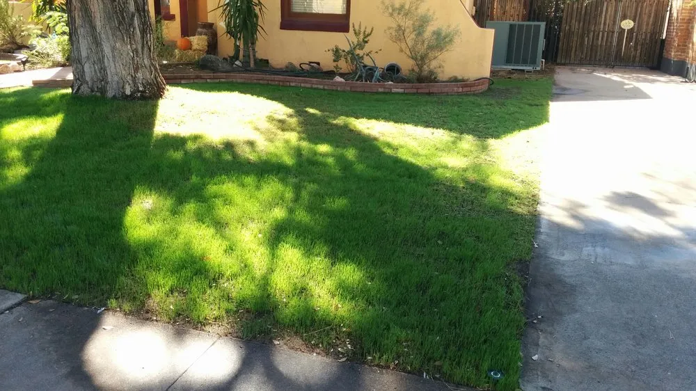 Reliable landscape design in Glendale, AZ by KO's Landscaping