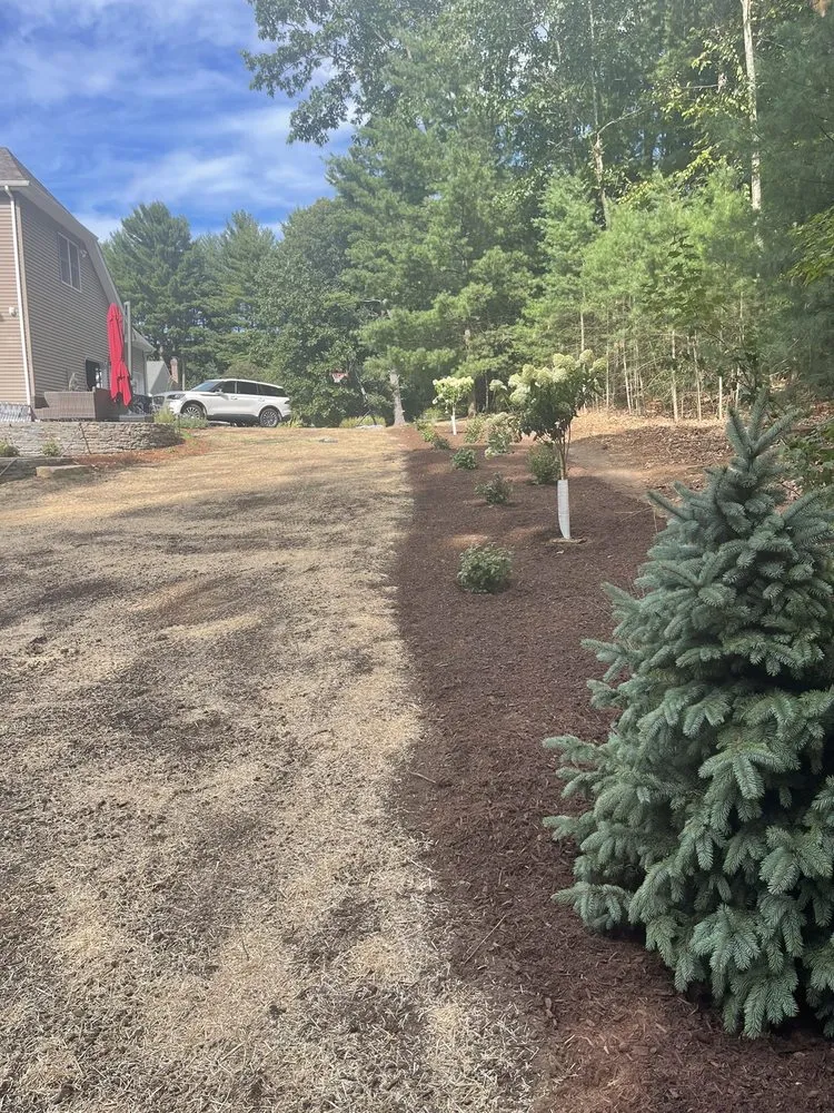 Expert lawn care service for outdoor upgrades in Ellington, CT by Kosilla Landscaping Services