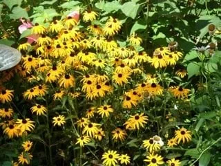 Local residential landscaping for homes across Ellington, CT - Kosilla Landscaping Services