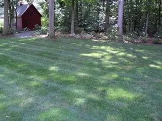 Affordable lawn care service for homes across Ellington, CT - Kosilla Landscaping Services