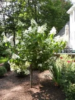 Top-rated lawn mowing service for outdoor upgrades across Ellington, CT - Kosilla Landscaping Services