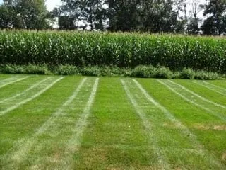 Top-rated landscape installation experts serving Ellington, CT - Kosilla Landscaping Services