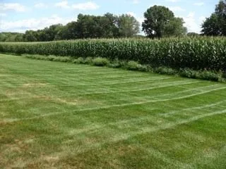 Trusted lawn mowing service experts serving Ellington, CT - Kosilla Landscaping Services