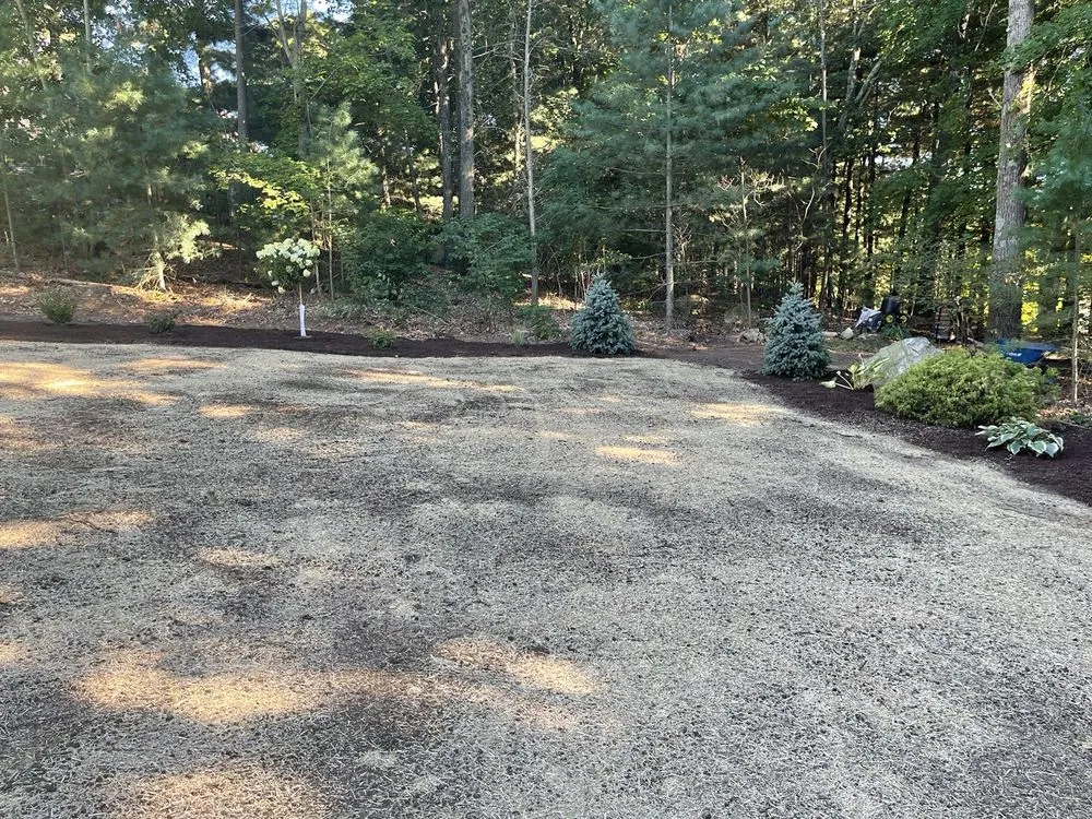 Custom lawn care service in Ellington, CT by Kosilla Landscaping Services