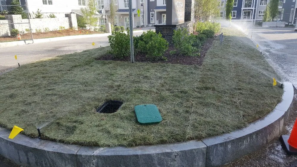 Top-rated landscape design in Cambridge, MA - Kosko Landscaping