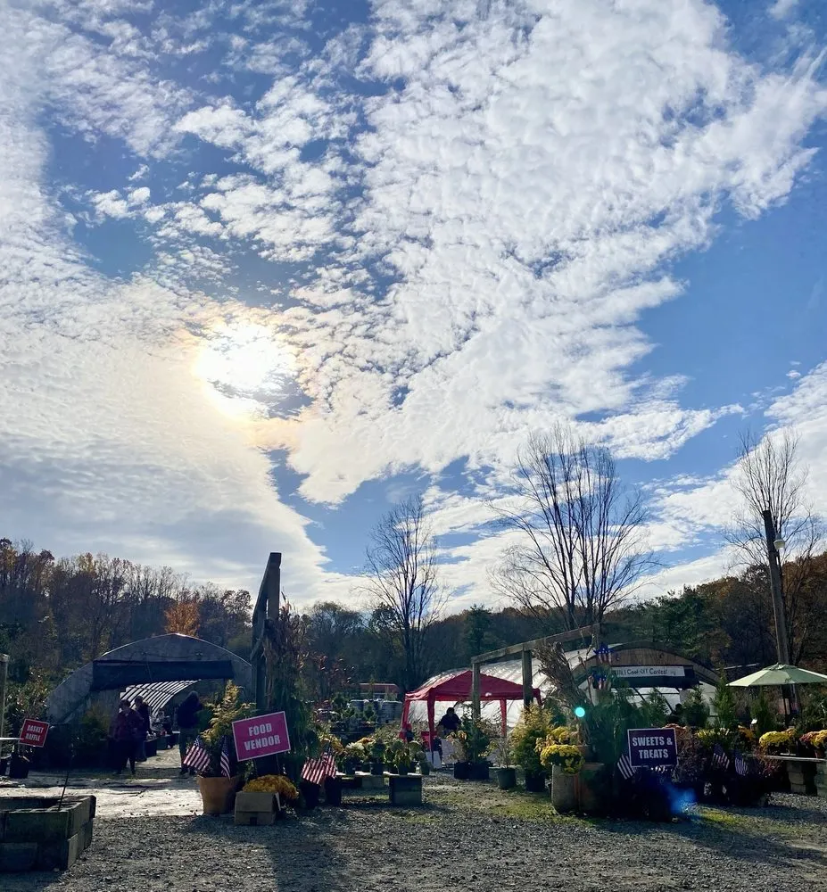 Expert landscape installation experts serving Alburtis, PA - Kospia Farms