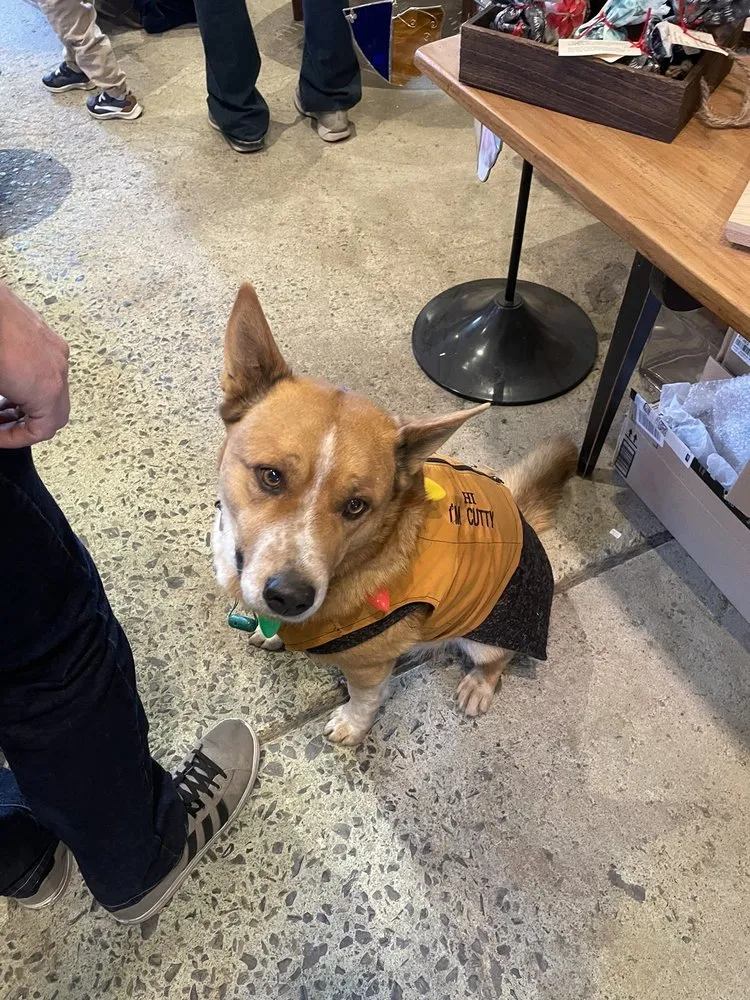 Trusted lawn care service in Alburtis, PA - Kospia Farms