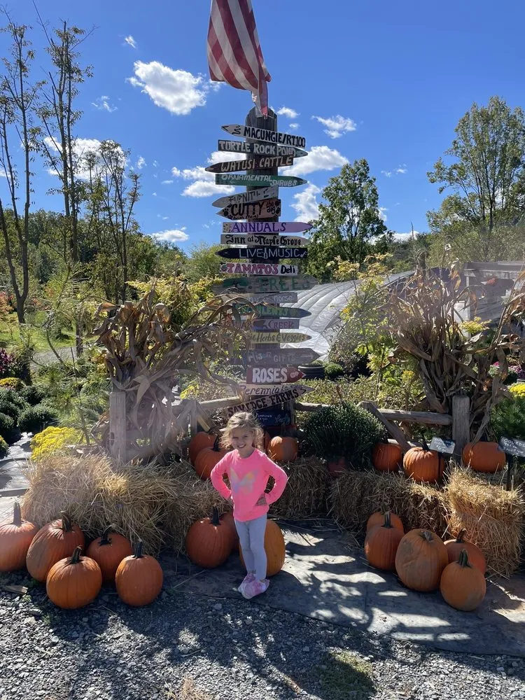 Reliable yard cleanup service with custom design in Alburtis, PA by Kospia Farms