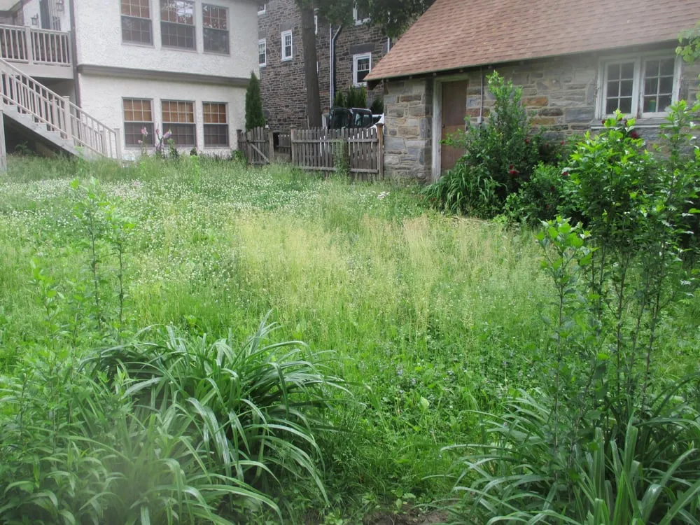 Expert landscaping services for year-round maintenance across Plymouth Meeting, PA - Koszowski Landscaping